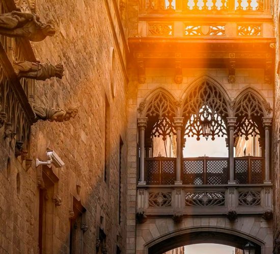 L'Ambos Mundos, restaurante familiar de Plaça Reial especializado en paellas, arroces y cocina mediterránea tradicional.